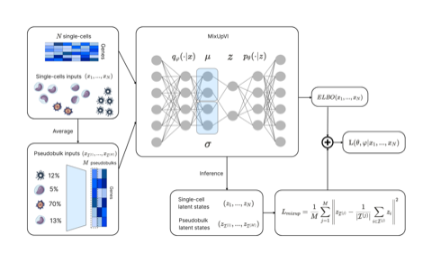 MixupVI model schematic