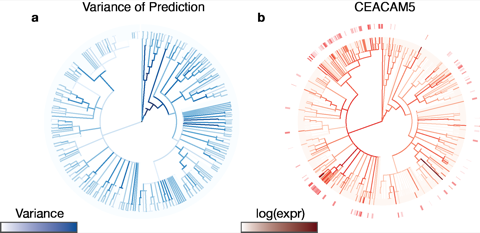 Phylogenetic tree visualization from TreeVAE